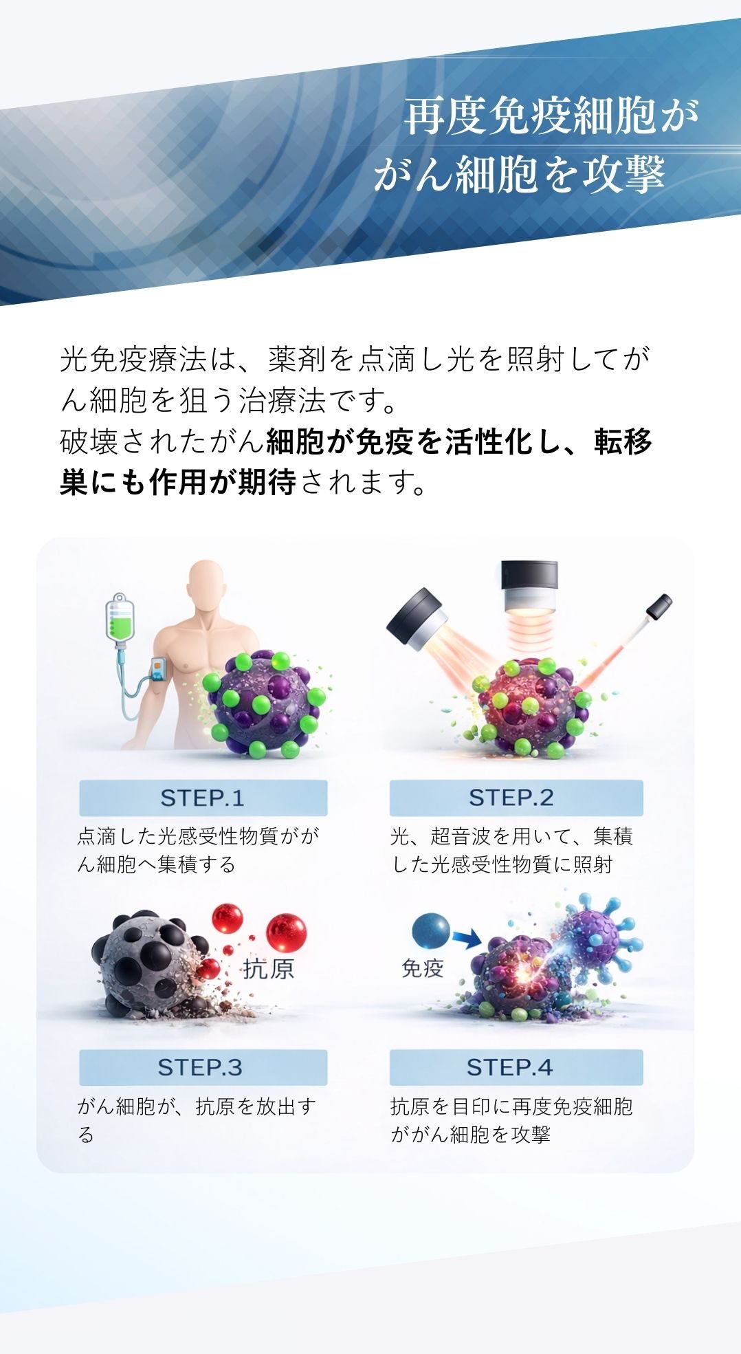 免疫応答とは